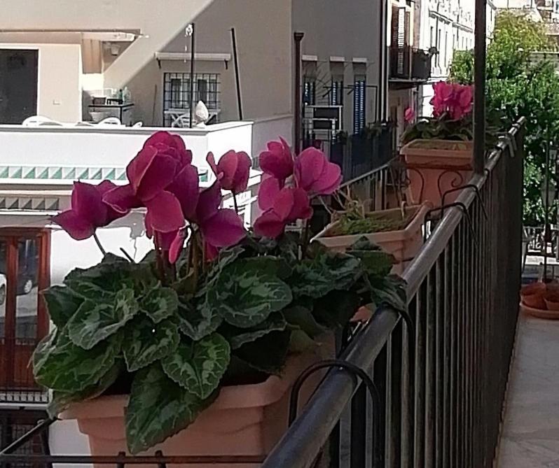 Calimero Luxury Suite Palermo Exterior photo
